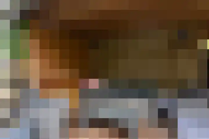Frans Halslaan 6 Lopik thumbnail 47