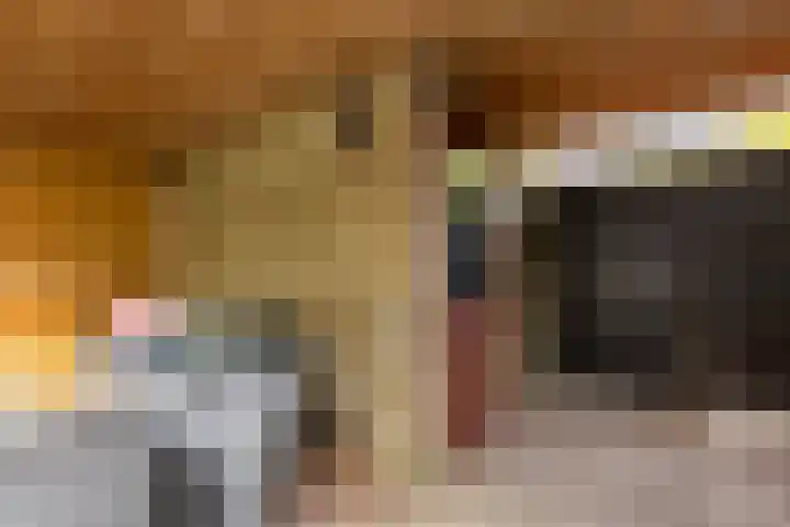 Frans Halslaan 6 Lopik thumbnail 48