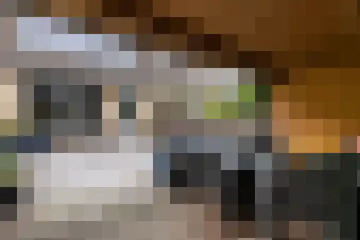 Frans Halslaan 6 Lopik thumbnail 49