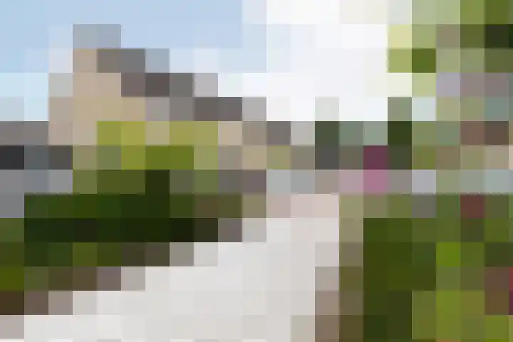 Frans Halslaan 6 Lopik thumbnail 52