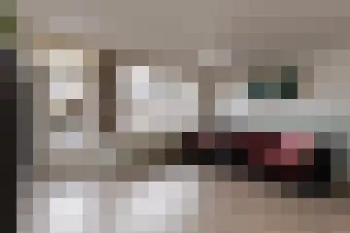 Frans Halslaan 6 Lopik thumbnail 9