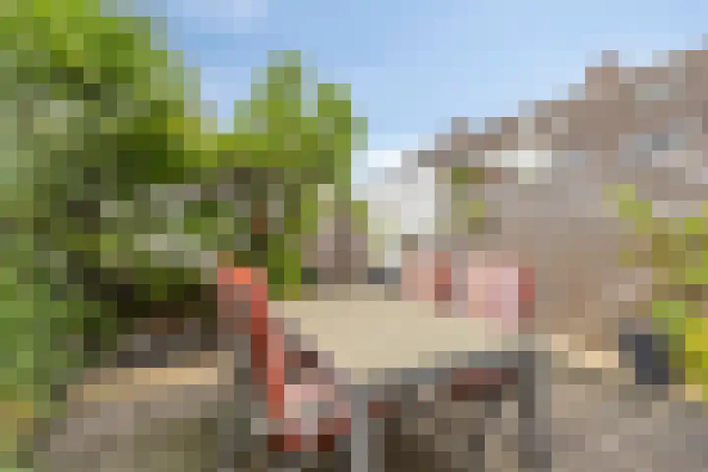 Frans Halslaan 6 Roosendaal thumbnail 24