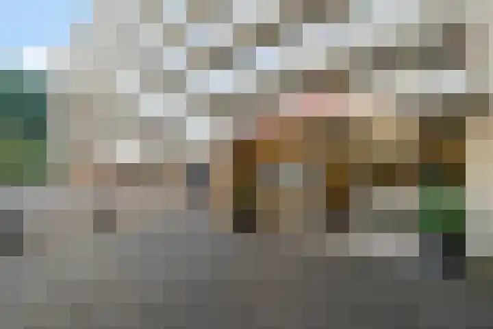 Frans Halslaan 61 Oegstgeest thumbnail 18