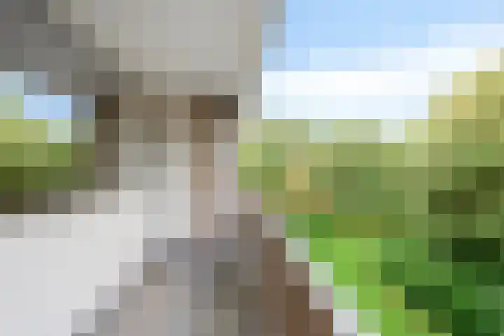 Frans Halslaan 61 Oegstgeest thumbnail 19