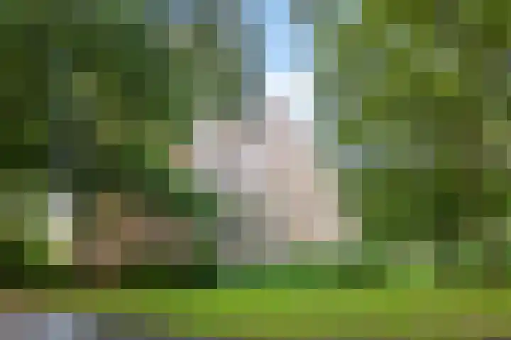 Frans Halslaan 61 Oegstgeest thumbnail 21