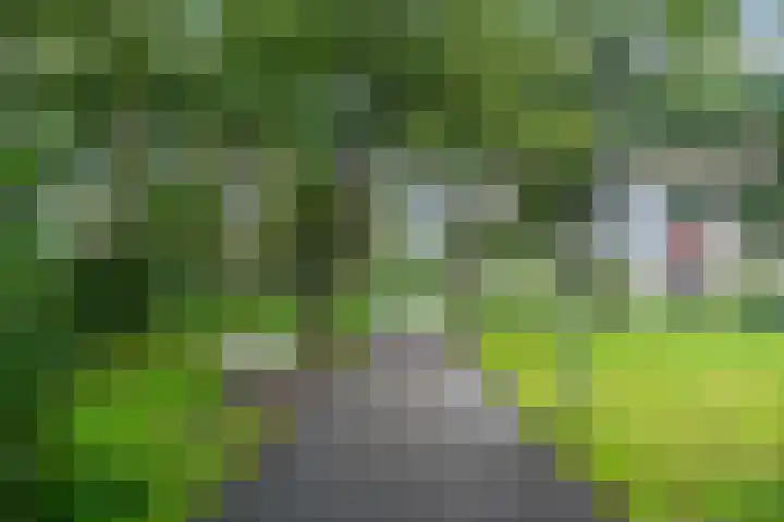 Frans Halslaan 61 Oegstgeest thumbnail 22