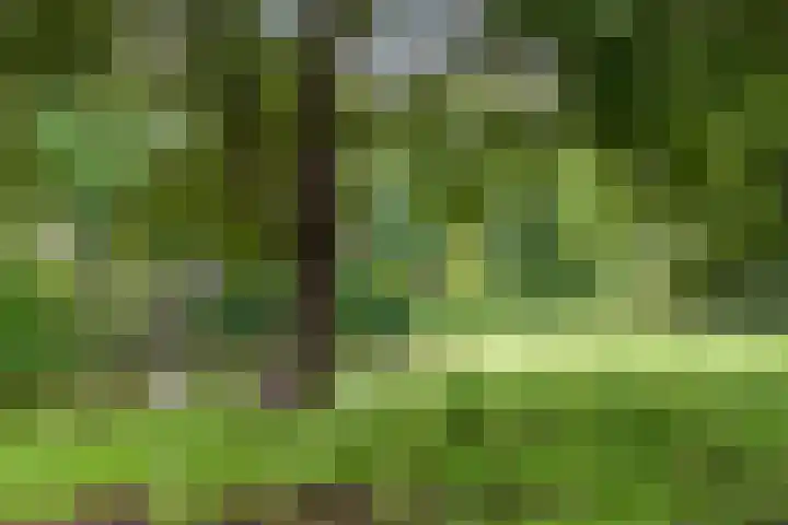 Frans Halslaan 61 Oegstgeest thumbnail 23