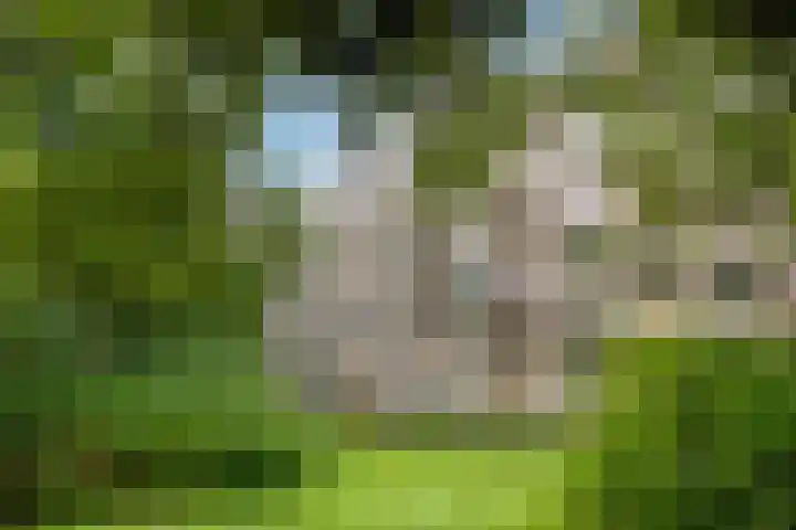 Frans Halslaan 61 Oegstgeest thumbnail 24