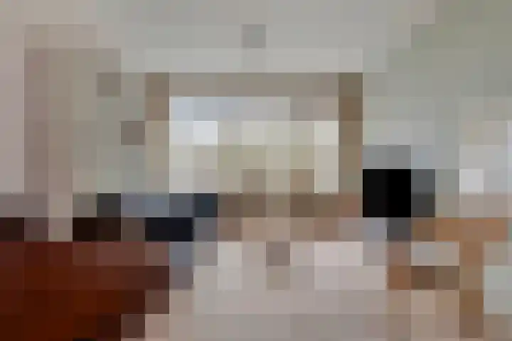 Frans Halslaan 63 Oegstgeest thumbnail 12