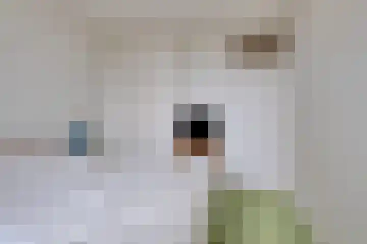 Frans Halslaan 63 Oegstgeest thumbnail 18