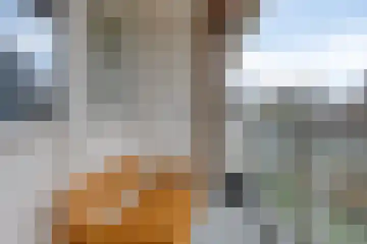 Frans Halslaan 63 Oegstgeest thumbnail 28