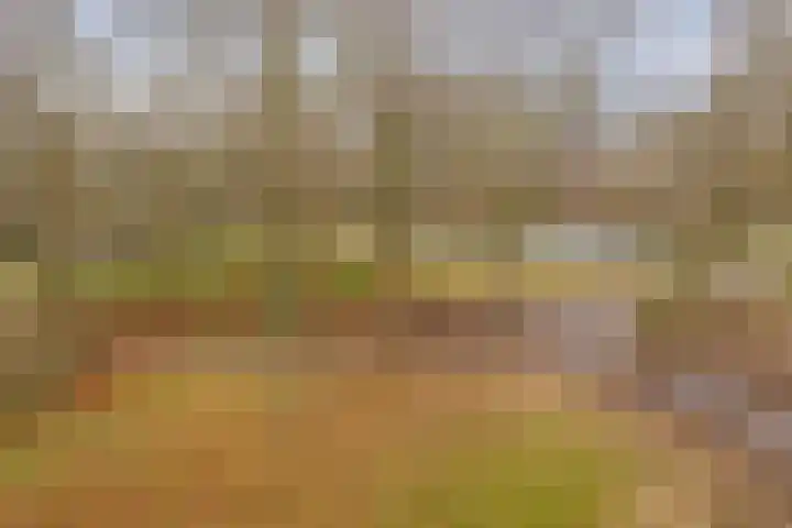 Frans Halslaan 63 Oegstgeest thumbnail 31