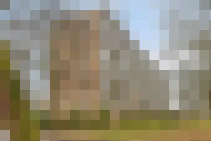 Frans Halslaan 63 Oegstgeest thumbnail 37