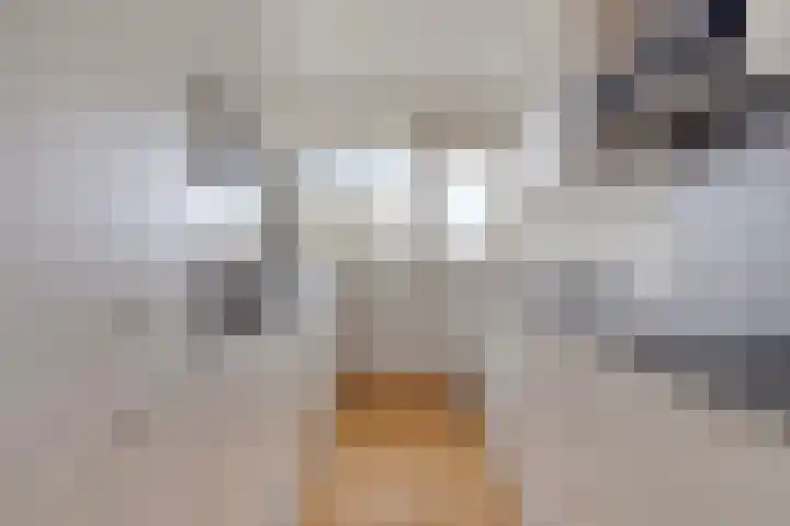 Frans Halslaan 63 Oegstgeest thumbnail 4