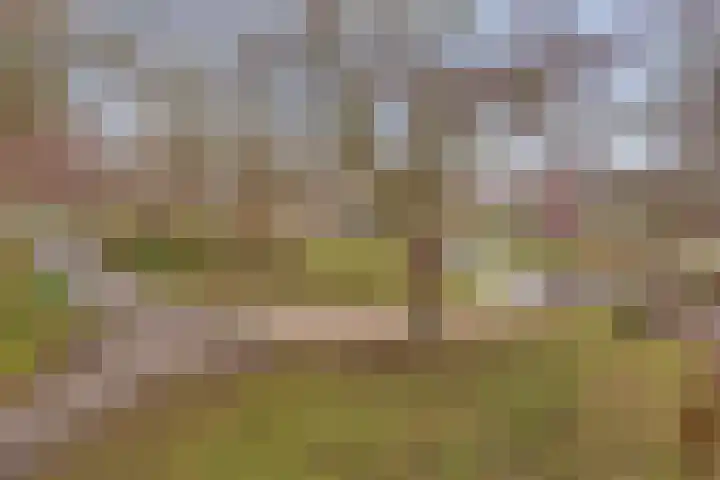 Frans Halslaan 63 Oegstgeest thumbnail 42