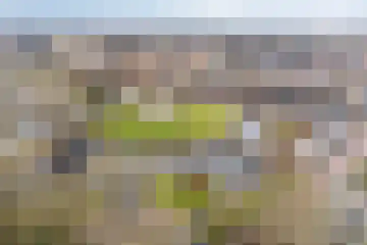 Frans Halslaan 63 Oegstgeest thumbnail 46