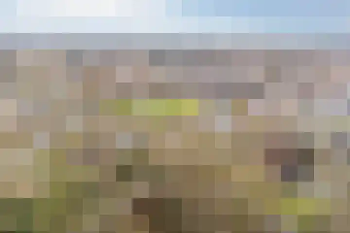 Frans Halslaan 63 Oegstgeest thumbnail 47