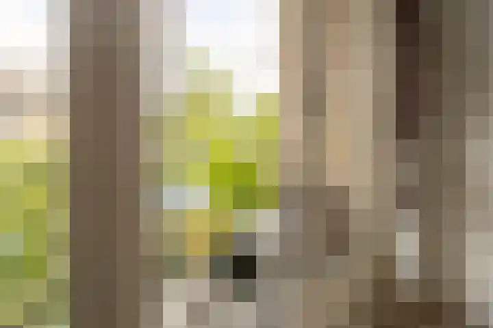 Frans Halslaan 65 Baarn thumbnail 6