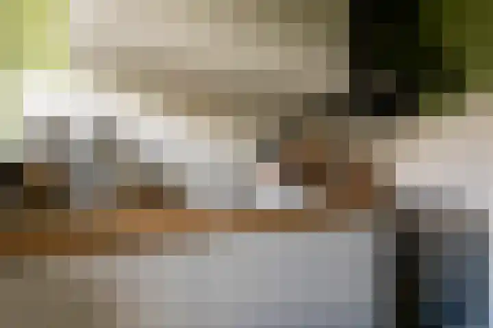 Frans Halslaan 65 Baarn thumbnail 8