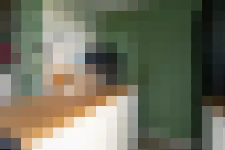 Frans Halslaan 65 Baarn thumbnail 9