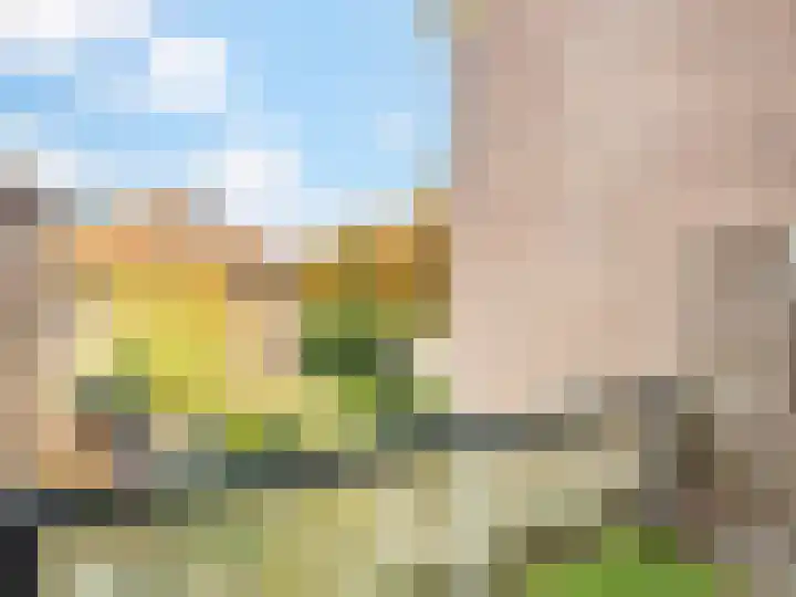 Frans Halslaan 68 Zutphen thumbnail 10