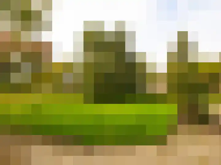 Frans Halslaan 68 Zutphen thumbnail 26