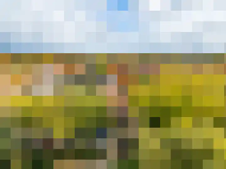 Frans Halslaan 68 Zutphen thumbnail 27