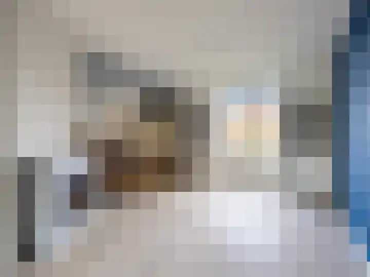 Frans Halslaan 68 Zutphen thumbnail 7