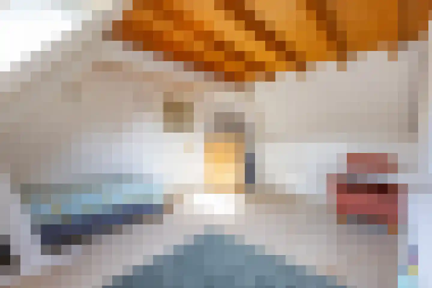 Frans Halslaan 69 Arnhem thumbnail 21