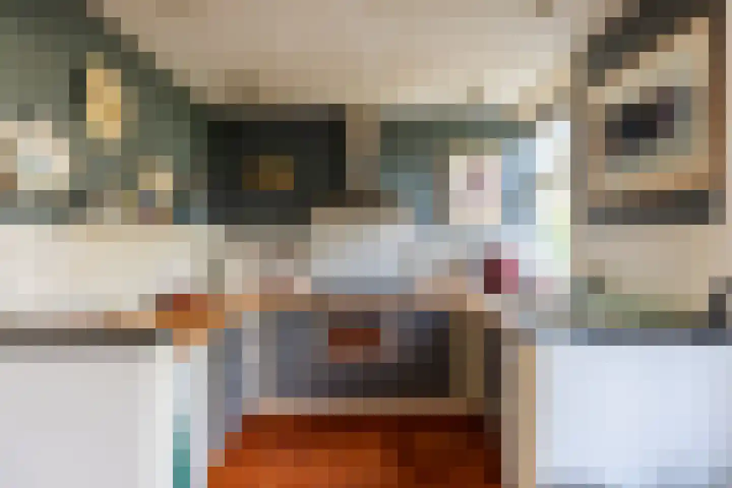 Frans Halslaan 69 Arnhem thumbnail 8
