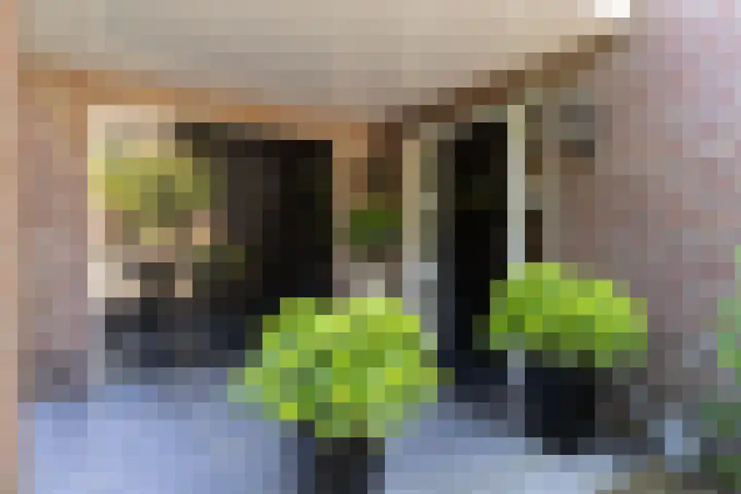 Frans Halslaan 74 Bilthoven thumbnail 4