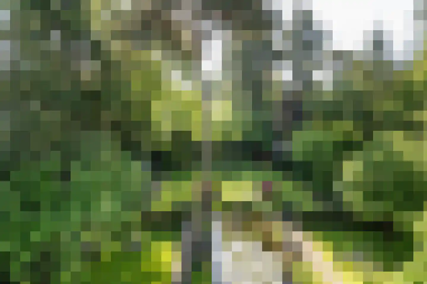 Frans Halslaan 74 Bilthoven thumbnail 42