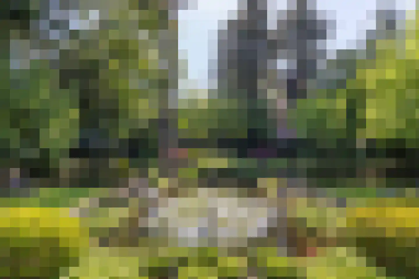 Frans Halslaan 74 Bilthoven thumbnail 45