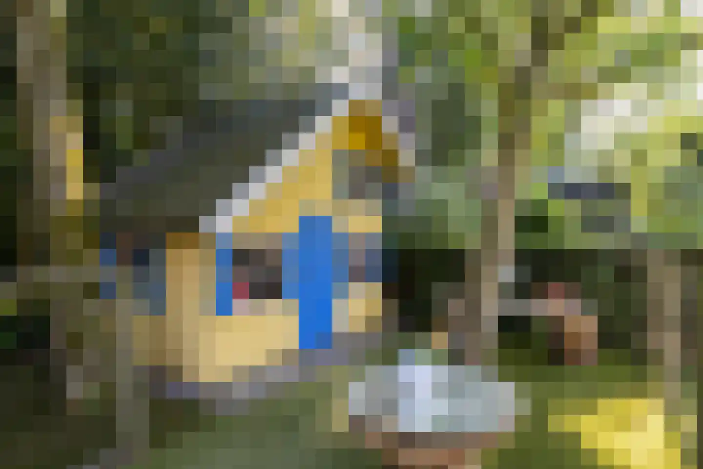 Frans Halslaan 74 Bilthoven thumbnail 48