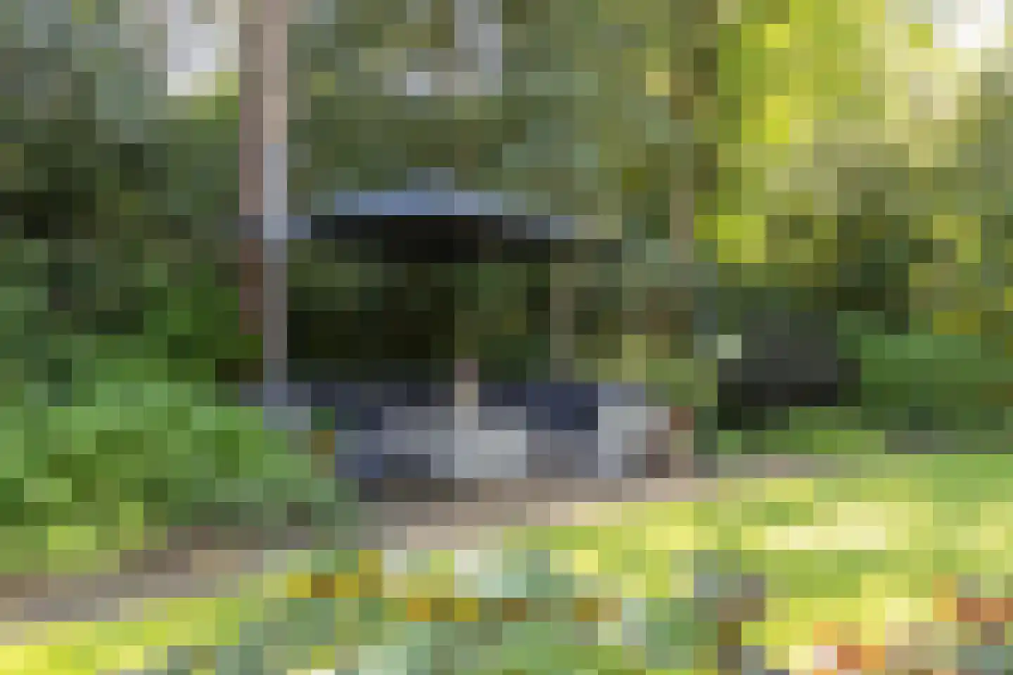 Frans Halslaan 74 Bilthoven thumbnail 50