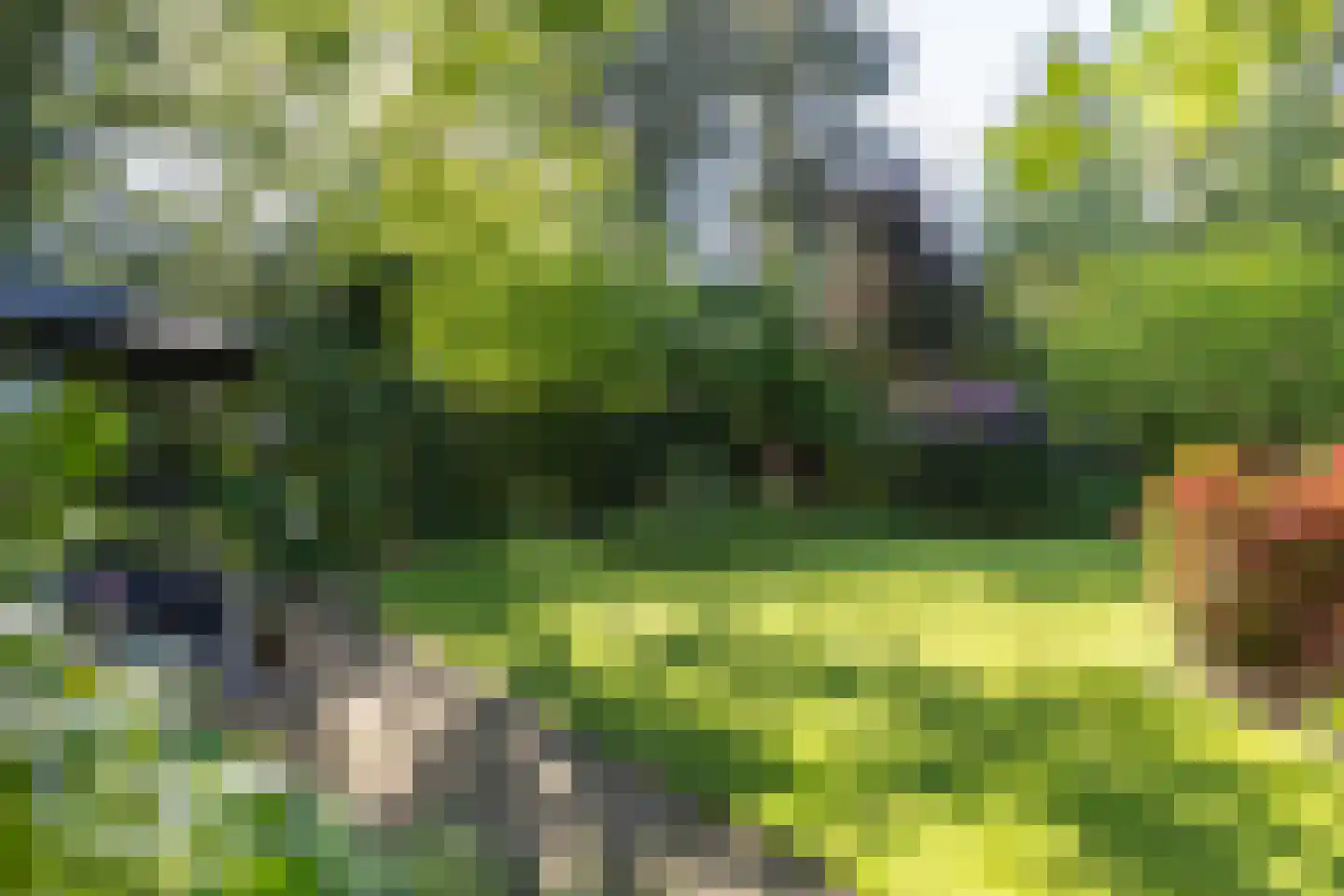 Frans Halslaan 74 Bilthoven thumbnail 51
