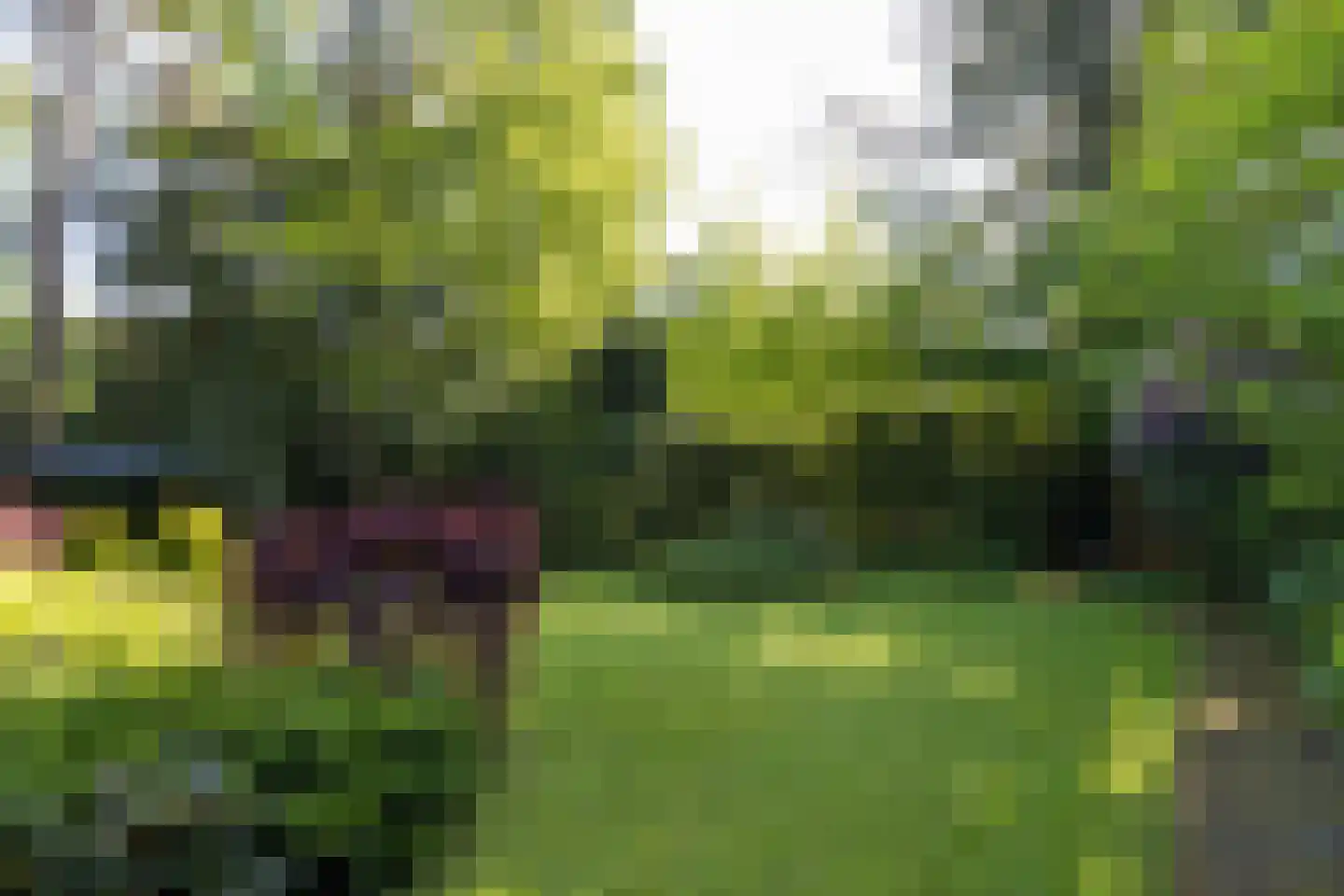 Frans Halslaan 74 Bilthoven thumbnail 52