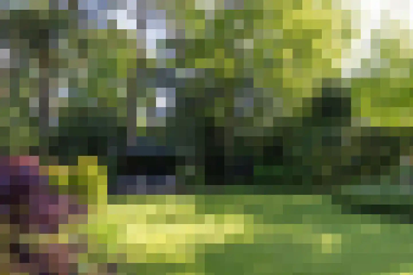 Frans Halslaan 74 Bilthoven thumbnail 53