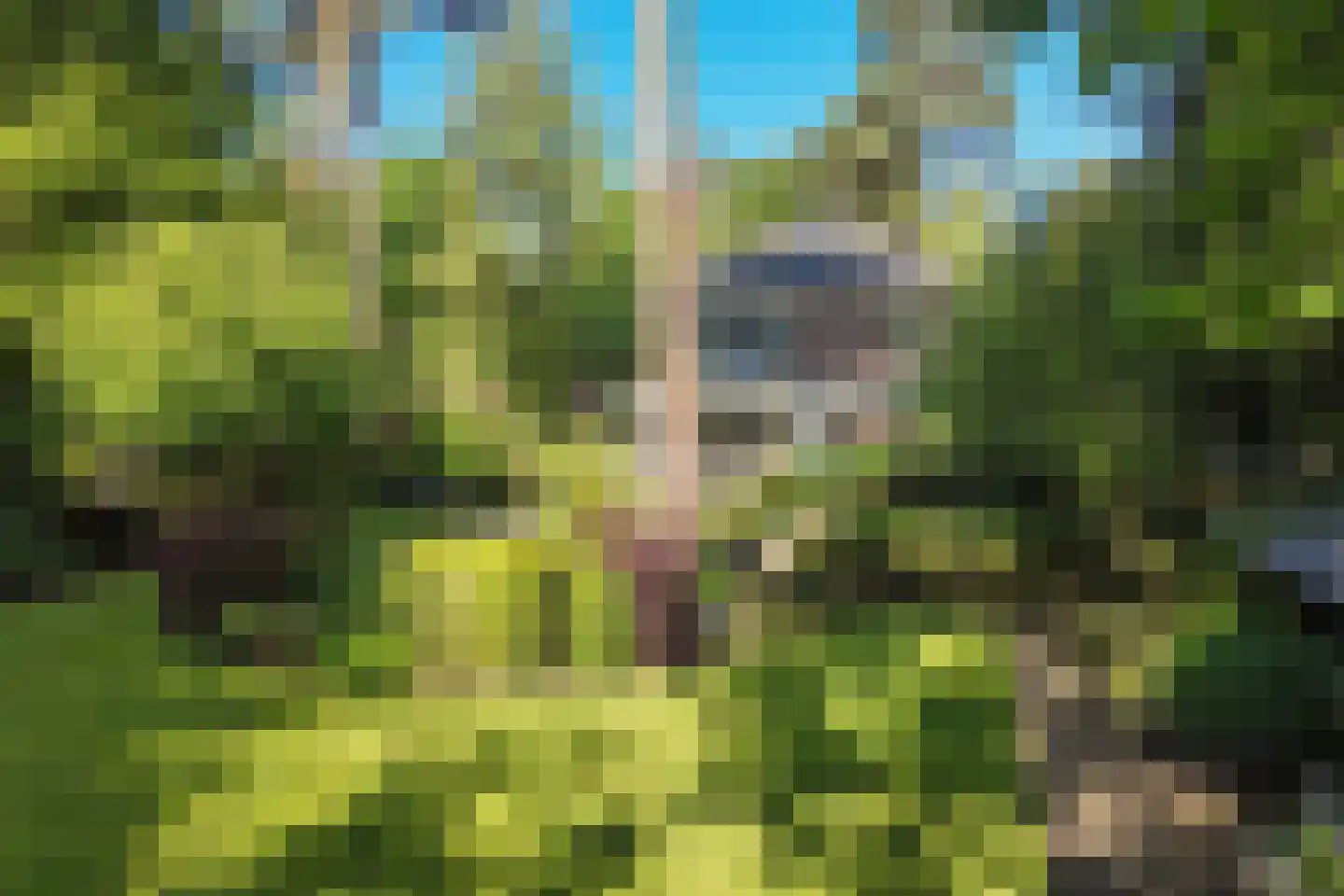 Frans Halslaan 74 Bilthoven thumbnail 54
