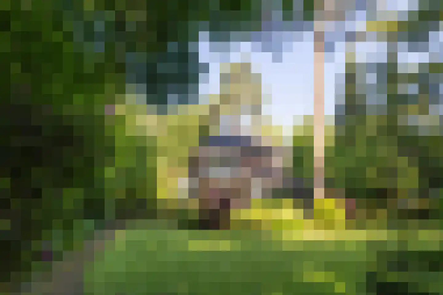 Frans Halslaan 74 Bilthoven thumbnail 55
