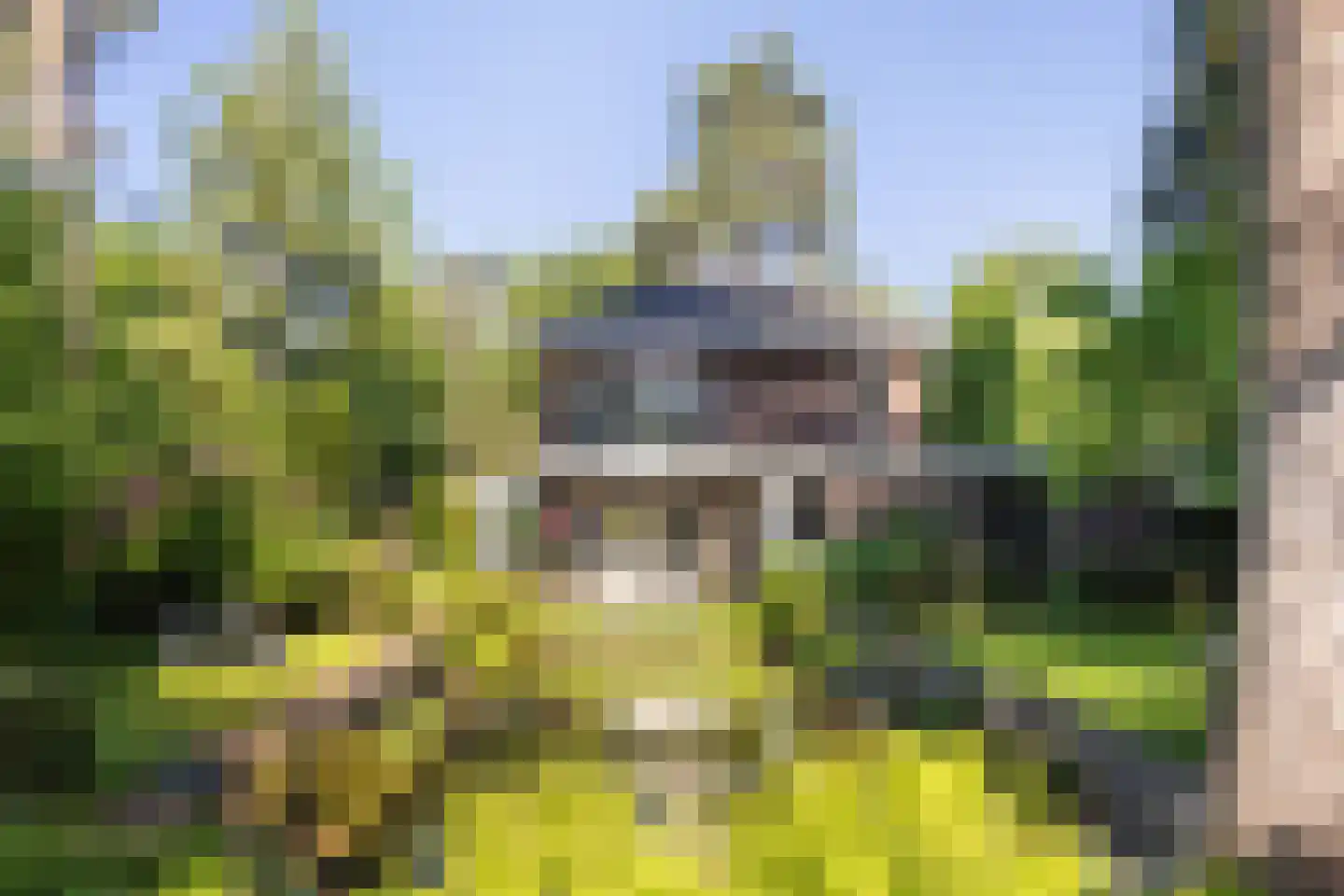 Frans Halslaan 74 Bilthoven thumbnail 57