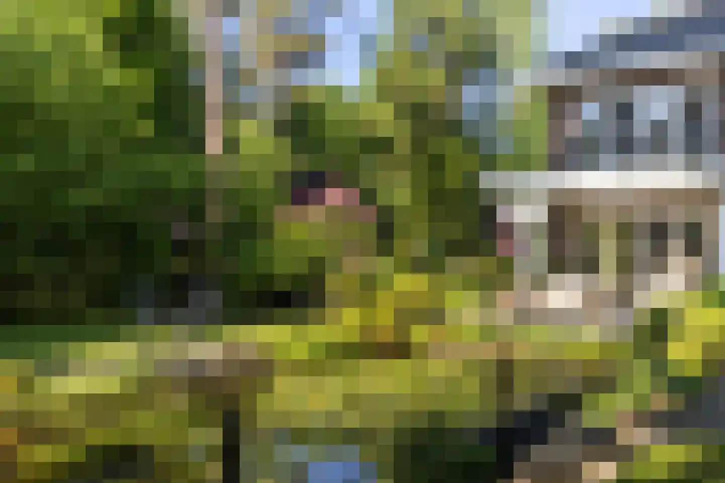 Frans Halslaan 74 Bilthoven thumbnail 58