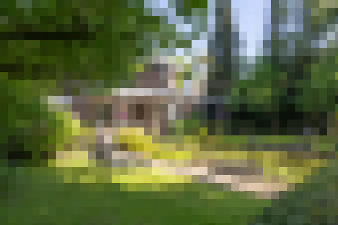 Frans Halslaan 74 Bilthoven thumbnail 59