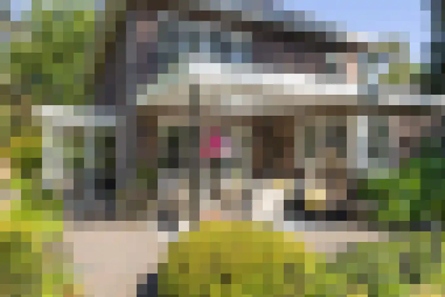 Frans Halslaan 74 Bilthoven thumbnail 60