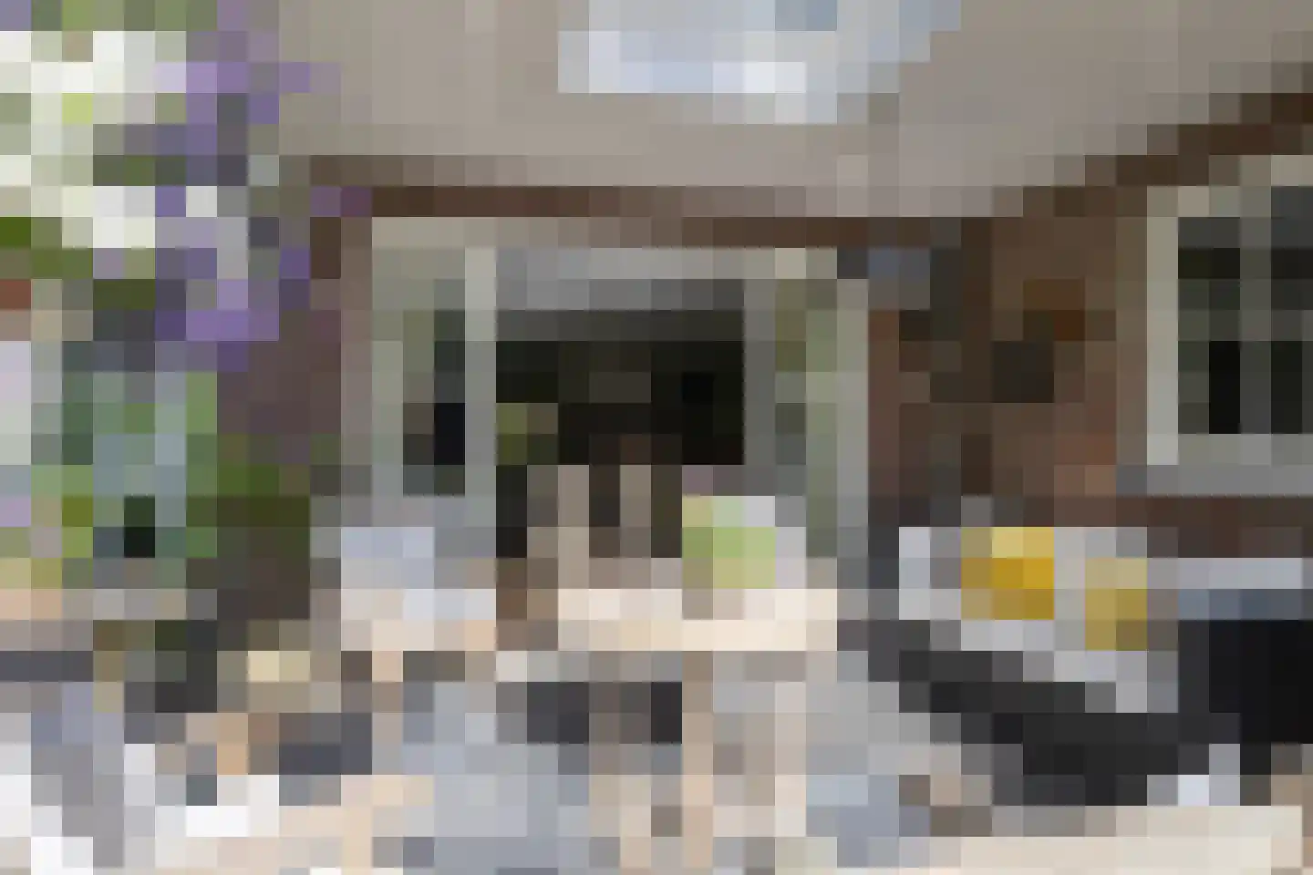 Frans Halslaan 74 Bilthoven thumbnail 61