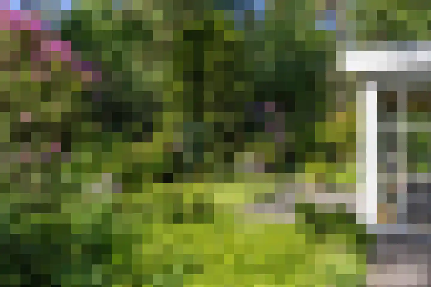 Frans Halslaan 74 Bilthoven thumbnail 62