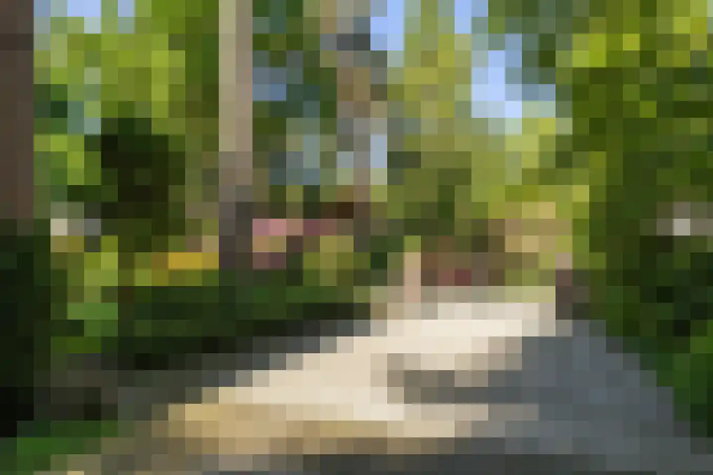 Frans Halslaan 74 Bilthoven thumbnail 64
