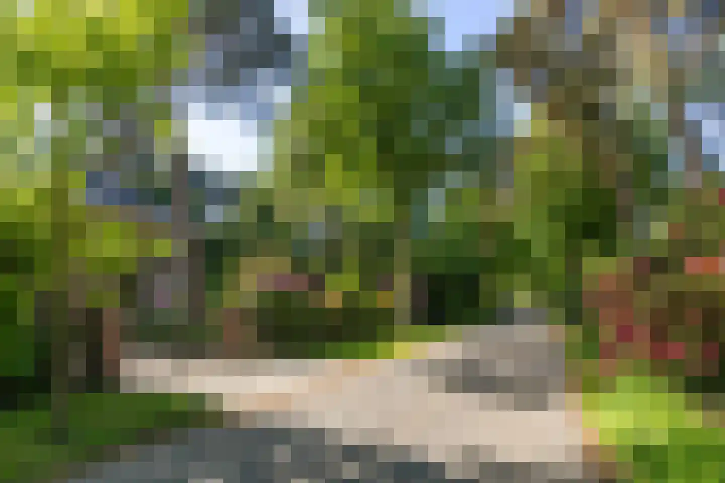 Frans Halslaan 74 Bilthoven thumbnail 65