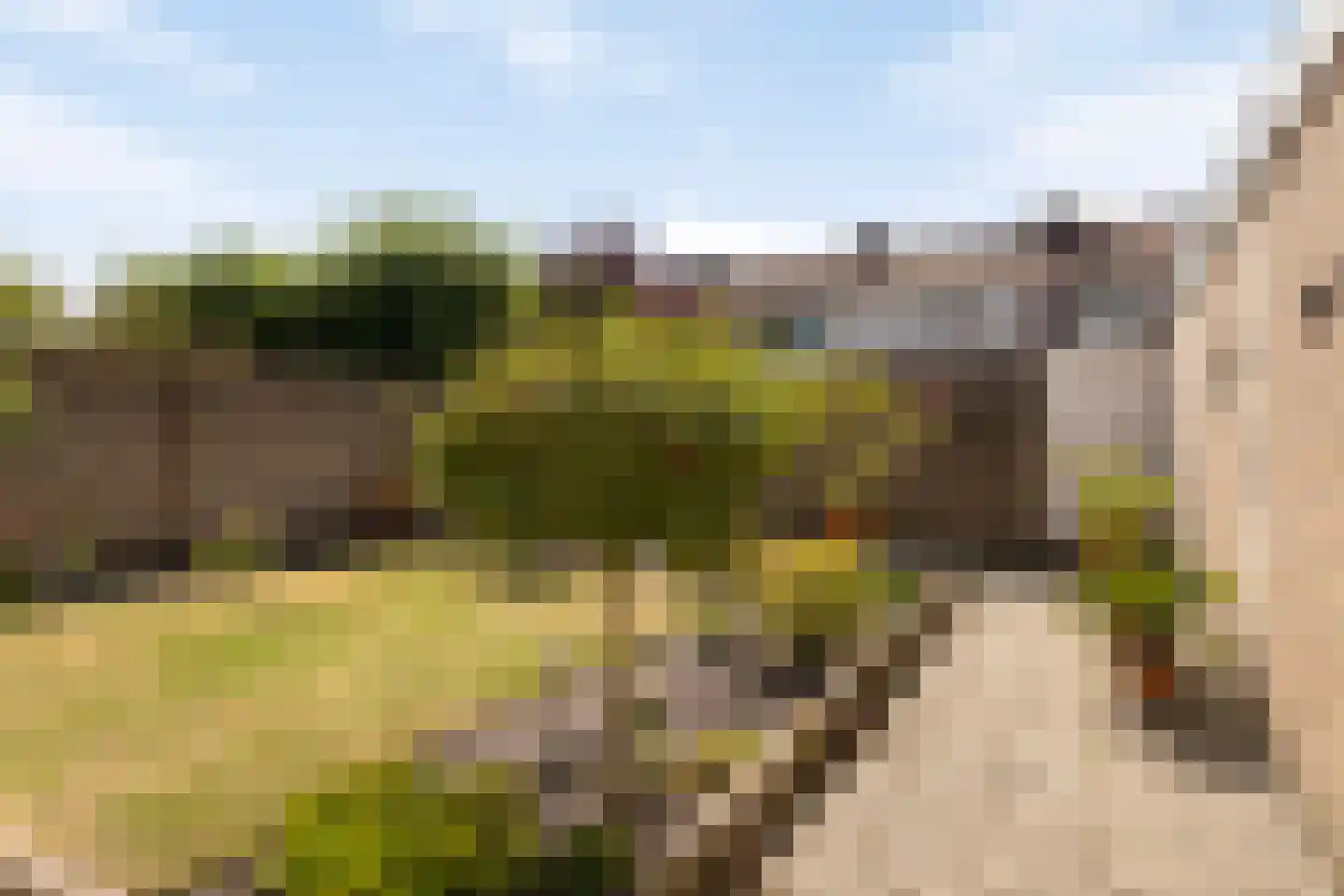 Frans Halslaan 77 Roosendaal thumbnail 43