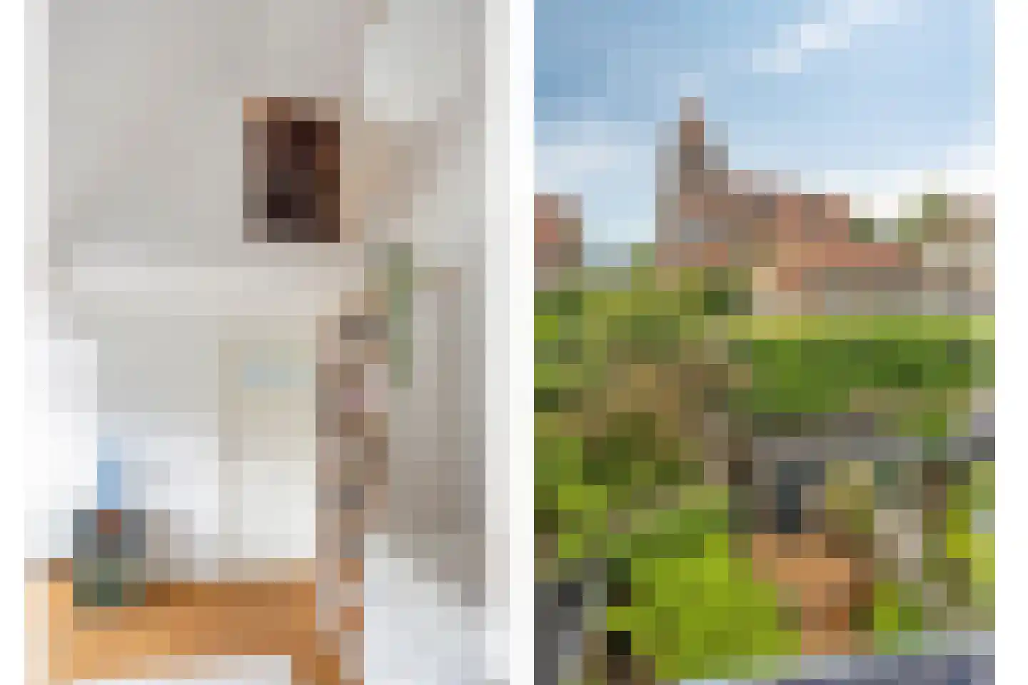 Frans Halslaan 83 Arnhem thumbnail 42